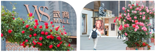 304am��������(�й�)���޹�˾-Official Website